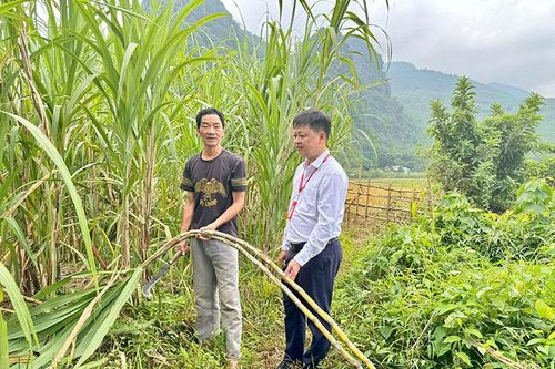 Hỗ trợ khách hàng bị thiệt hại do bão lũ khôi phục sản xuất, kinh doanh