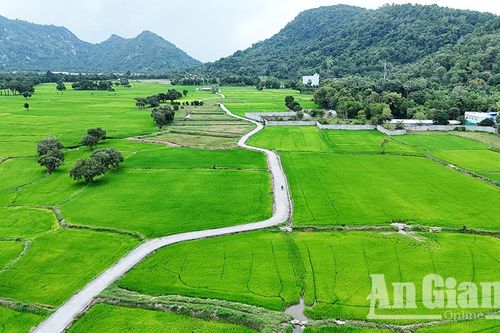 'Con đường tơ lụa' Tri Tôn đẹp như tranh vẽ