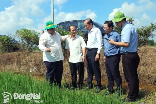 Làm lúa sạch thân thiện với môi trường