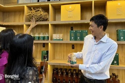 Đa dạng sản phẩm bảo vệ sức khỏe từ dược liệu