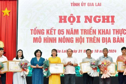 Khắc phục hạn chế để phát huy hiệu quả mô hình nông hội