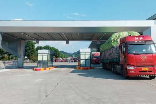 Chính thức vận hành 5 luồng xuất - nhập khẩu hàng hóa tại Cửa khẩu Kim Thành