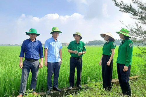 Canh tác nông nghiệp bền vững, thân thiện với môi trường