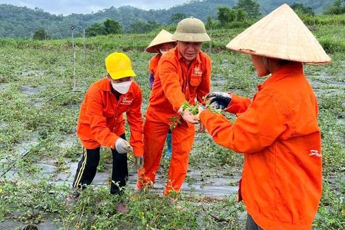 Tạo sinh kế cho đồng bào dân tộc thiểu số