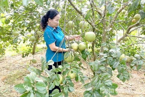 Nữ Bí thư nói đi đôi với làm