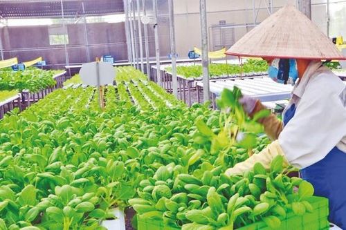 Nhiều chính sách mới có hiệu lực từ tháng 11/2024
