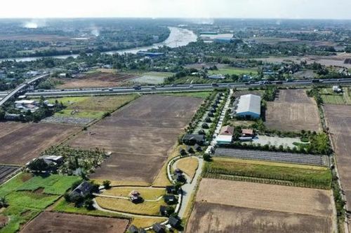HoREA kiến nghị UBND Tp.HCM xem xét lại quy định cấm phân lô, bán nền