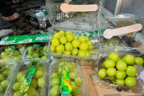 Chưa phát hiện nho sữa Trung Quốc vi phạm an toàn thực phẩm tại Việt Nam