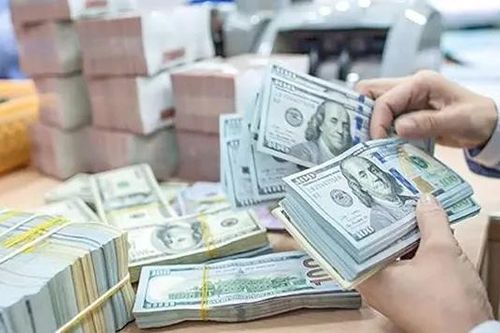 Chính sách có hiệu lực từ tháng 11/2024
