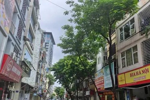Nhà phố Hà Nội ồ ạt rao bán giá 1 tỷ đồng/m²