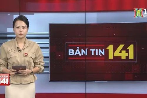 Bản tin 141 | 01/11/2024