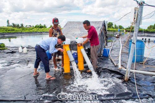 'Ước mơ xanh' của Kỹ sư Tấn