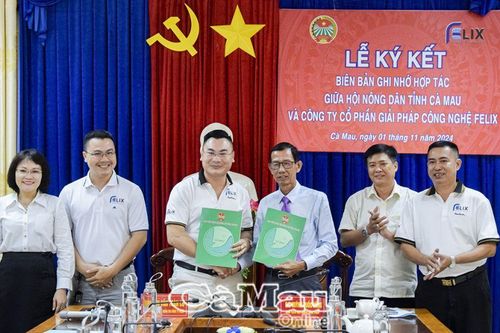 Hỗ trợ nông dân kết nối, tiêu thụ sản phẩm trên sàn thương mại điện tử