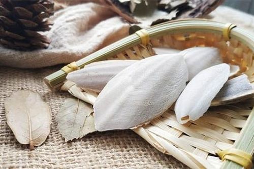 5 vị thuốc hỗ trợ giảm trào ngược dạ dày