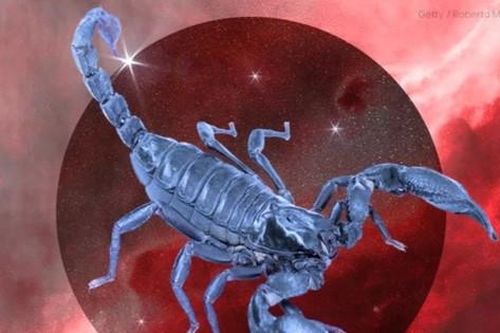 Mùa Bọ Cạp: Nhân Mã kiên nhẫn với chính mình, Ma Kết có cơ hội thăng tiến