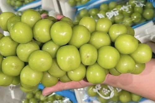 Chưa phát hiện nho nhập khẩu Trung Quốc vi phạm an toàn thực phẩm