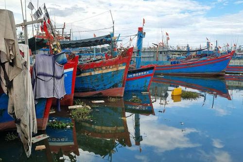 Dự án cảng 460 tỷ đồng vẫn loay hoay với giải phóng mặt bằng