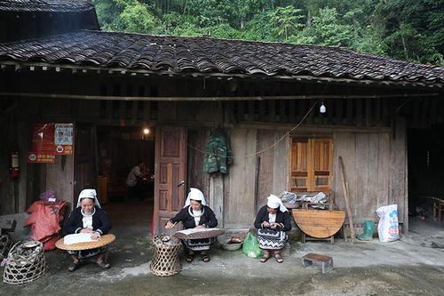 Xanh lại Nguyên Bình