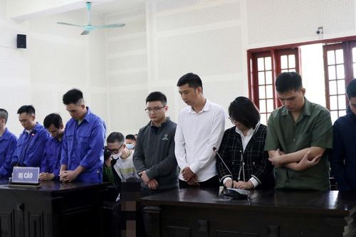 Xét xử nhóm 'tú ông' online