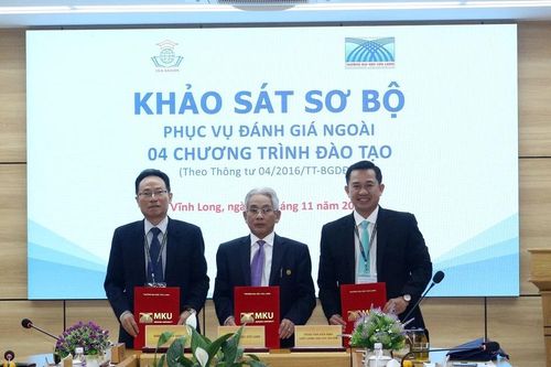 Khảo sát sơ bộ kiểm định chất lượng giáo dục 4 chương trình đào tạo tại Trường ĐH Cửu Long
