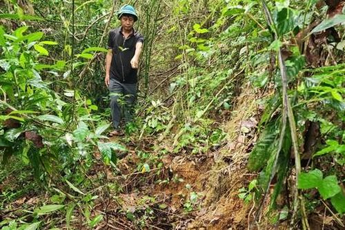 Xuất hiện nhiều vết nứt lớn trên núi, người dân lo lắng bất an