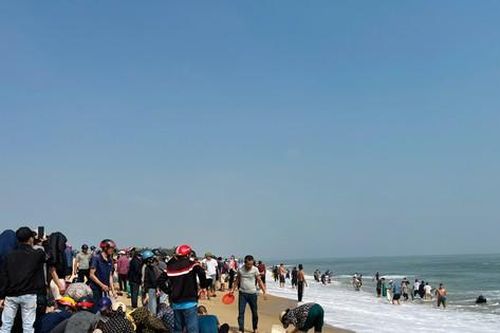 Đi dạo bờ biển nhặt 'lộc trời' lúc tinh mơ, thu tiền triệu mỗi ngày