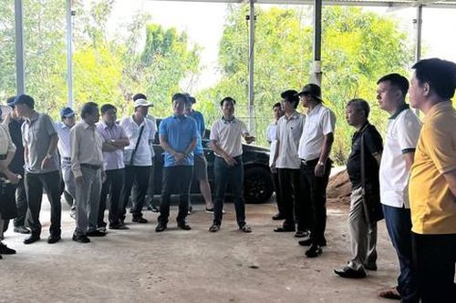 Khơi dậy tiềm năng du lịch qua mô hình liên kết sản xuất nông nghiệp đô thị tại Đắk Lắk