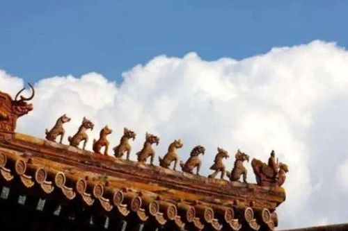 Tại sao trên nóc Tử Cấm Thành không bao giờ dính 'phân chim', nghe hướng dẫn viên giải thích càng khâm phục trí tuệ của người xưa