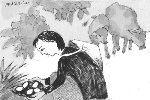 Tấm lòng mùa xuân