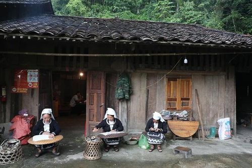 Xanh lại Nguyên Bình