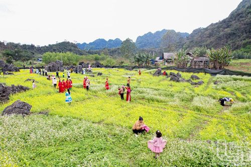 Để du lịch Đồng Hỷ phát triển tương xứng tiềm năng
