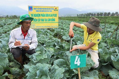 Đạm Cà Mau (DCM) hái 'quả ngọt' từ thương vụ M&A Phân bón Hàn - Việt