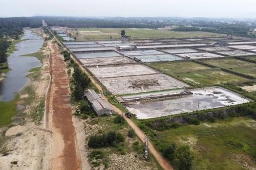 Quảng Ngãi: Thành lập Ban cưỡng chế thực hiện Quyết định thu hồi đất đối với Công ty Bình An