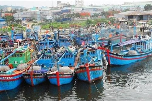 Xử lý dứt điểm tàu cá '3 không'