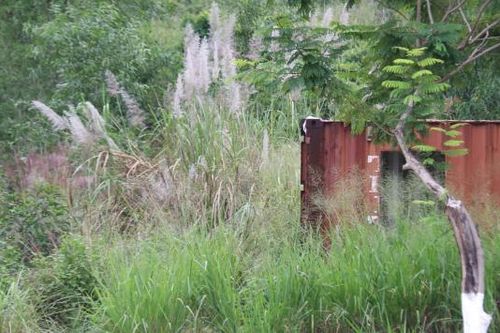 Phát hiện thi thể bên trong container bỏ hoang dưới chân núi