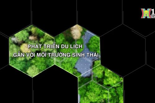 Phát triển du lịch gắn với môi trường sinh thái | Tạp chí Kiểm lâm | 02/11/2024