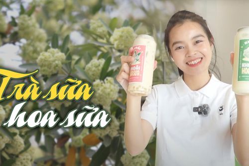 Có gì trong trà sữa hoa sữa gây xôn xao cõi mạng?