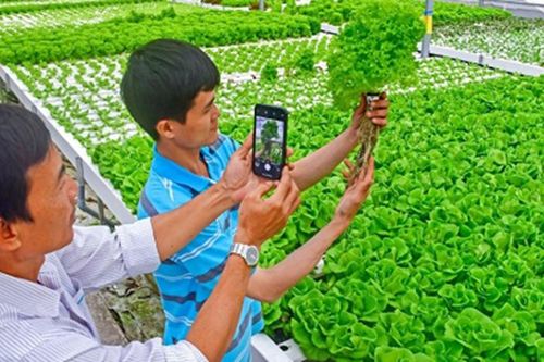 Chuyển đổi số nông nghiệp Cà Mau: Tạo đà phát triển nông thôn, thu hút đầu tư