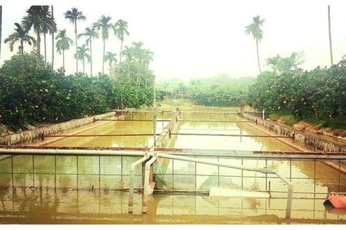 Chuyển đổi cơ cấu sản xuất để thực hiện thành công xây dựng nông thôn mới