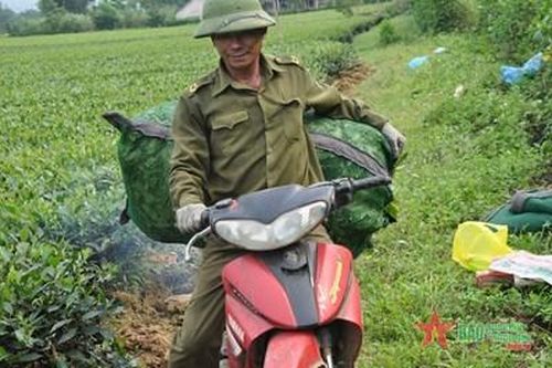 'Vua chè' Phan Đình Nhàn