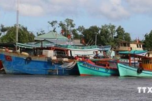 Bộ đội Biên phòng tỉnh Bạc Liêu: Cứu nạn 3 ngư dân trên biển