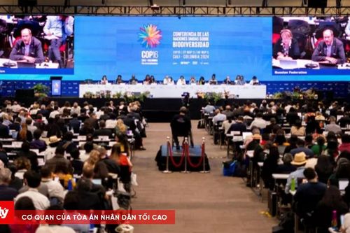 COP 16 không đạt được thỏa thuận tài trợ cho đa dạng sinh học