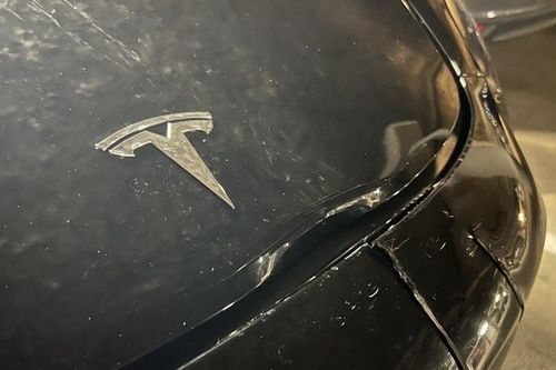 Hệ thống tự lái không phát hiện kịp, xe Tesla đâm trúng hươu trên đường