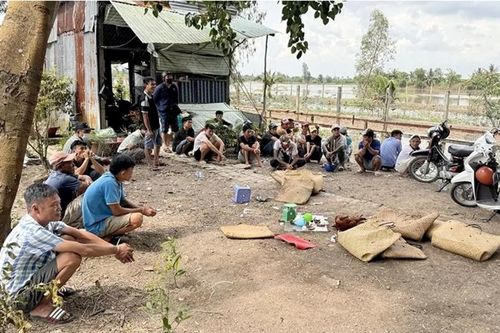 Triệt phá sới bạc nằm sâu trong cánh đồng, bắt giữ hàng chục đối tượng