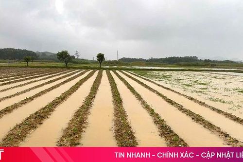 Công điện về ứng phó với mưa lớn trên địa bàn Hà Tĩnh