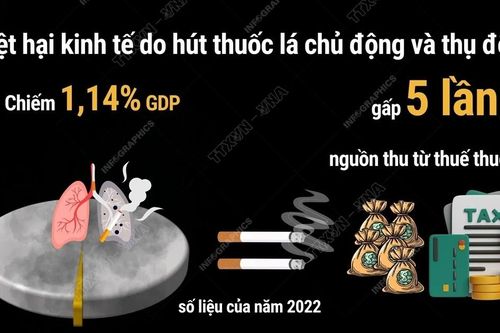 Thiệt hại kinh tế do hút thuốc lá gấp 5 lần thuế thuốc lá mang lại