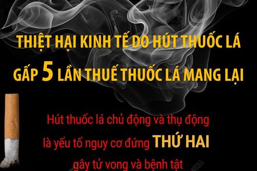 Thiệt hại kinh tế do hút thuốc lá gấp 5 lần thuế thuốc lá mang lại