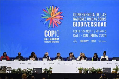 Hội nghị COP16 không đạt được thỏa thuận về tài trợ bảo vệ các loài có nguy cơ tuyệt chủng