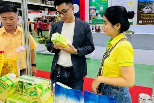 Nhiều lãnh đạo bị xử phạt, Đường Quảng Ngãi làm ăn thế nào?