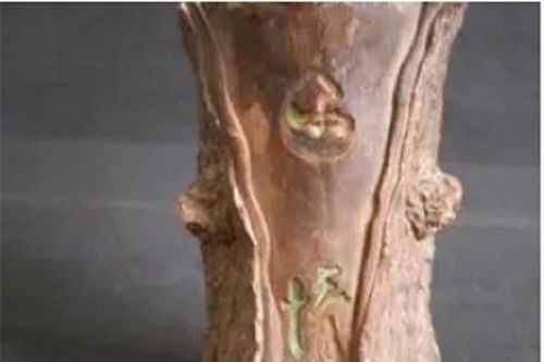 Bà cụ nhặt được khúc gỗ sần sùi, xấu xí đem về vứt xó nhà, không ngờ 'vớ' được cổ vật có giá trị lớn